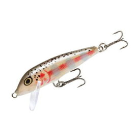 Rapala(ラパラ) カウントダウン 70mm BJRT(ヌードバルサ稚レインボー) CD7-BJRT