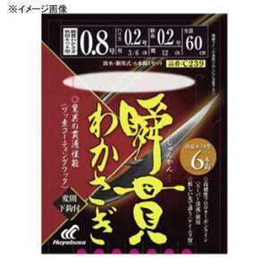 nuT(Hayabusa) ăJTM uт킩 HcLcl^ 6{b b1 C239