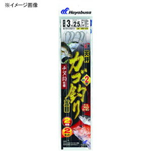 nuT(Hayabusa) ЂƂ JSނܖ b2m `k2{b b2/nX2  HN123