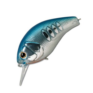 �f�v�X(Deps) �R���K���}�O�i�� 150 66.0mm #40 �u���[�V���b�h