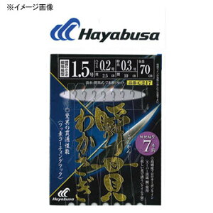 nuT(Hayabusa) ăJTM uт킩 גn^ 7{b b2/nX0.2 C217