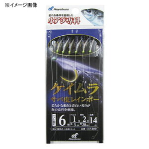 nuT(Hayabusa) AW PCTo烌C{[ b4/nX0.8 × HS100