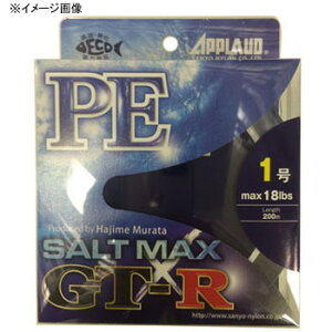 �T�����[�i�C���� �\���g�}�b�N�X GT-R 300m 2.5��/42lb