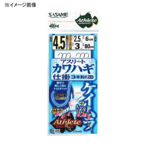 ߐj(SASAME) AX[gJnM PC3{b 5 D-415