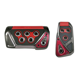 �J�[���C�g(CAR MATE) RAZO GT SPEC �y�_���Z�b�g AT-SS ���b�h RP109RE