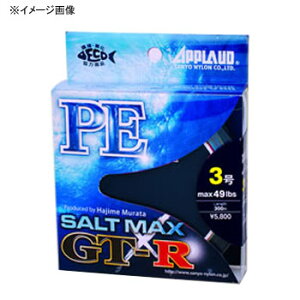 �T�����[�i�C���� �\���g�}�b�N�X GT-R PE 300m 2��/35lb