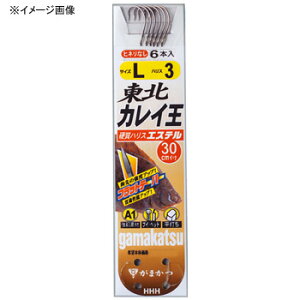 ܂(Gamakatsu) t A1 kJC M NSB 11683