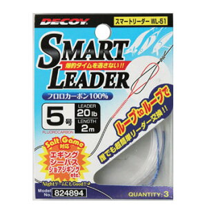 JcC`(KATSUICHI) X}[g[_[ 2m 5/20lb WL-51