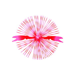 nuT(Hayabusa) W Jjo #2 sN HR215