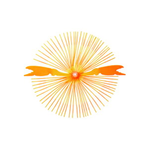 nuT(Hayabusa) W Jjo #6 IW HR215