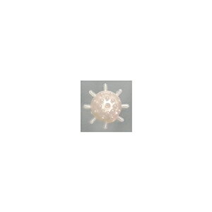 }V^(YAMASHITA) }V}{[ AJcSP M p[W