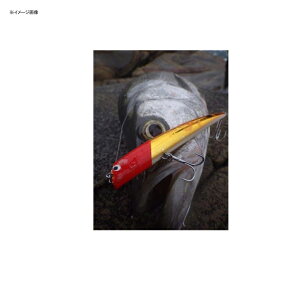 Go-Phish(�S�[�t�B�b�V��) TKLM120GP 120mm #7 �I�����W�T����