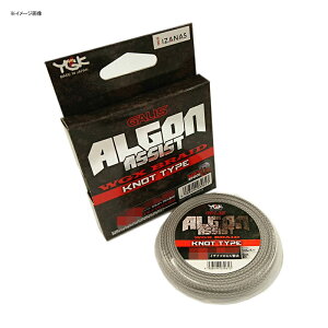 XBRAID(GbNXu[h) AS AVXg WGXuCh mbg^Cv 6m 15/160lb Vo[