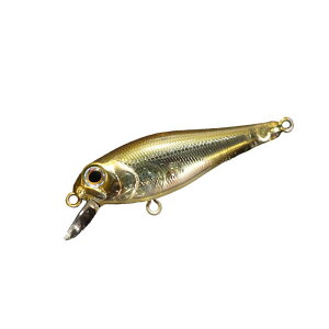 CNX[x(INX.label) WFChINXJX^ TXyh 43mm 01 S[XgtAW