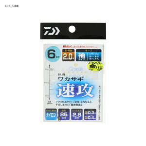 _C(Daiwa) NXeBA KJTMd|SS U L[v^ PCj 6{/1.0 07348102