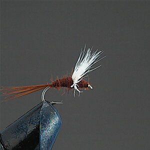 o[q(ValleyHill) ihCtC D1 Rp_