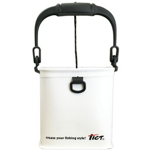 TICT(eBNg) RpNgCuoPcII zCg