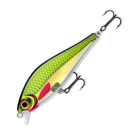 Rapala(ラパラ) スーパー シャドウ ラップ 160mm OG SSDR16-OG