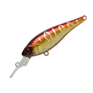 �r�o(Viva) �X�e�b�v�V���b�h SR 58mm #131 �A�J�L���^�C�K�[ 310003