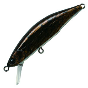 WN\(Jackson) eI[ 63mm BKG JWJKG