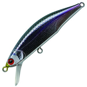 WN\(Jackson) eI[ 63mm CGP ┓