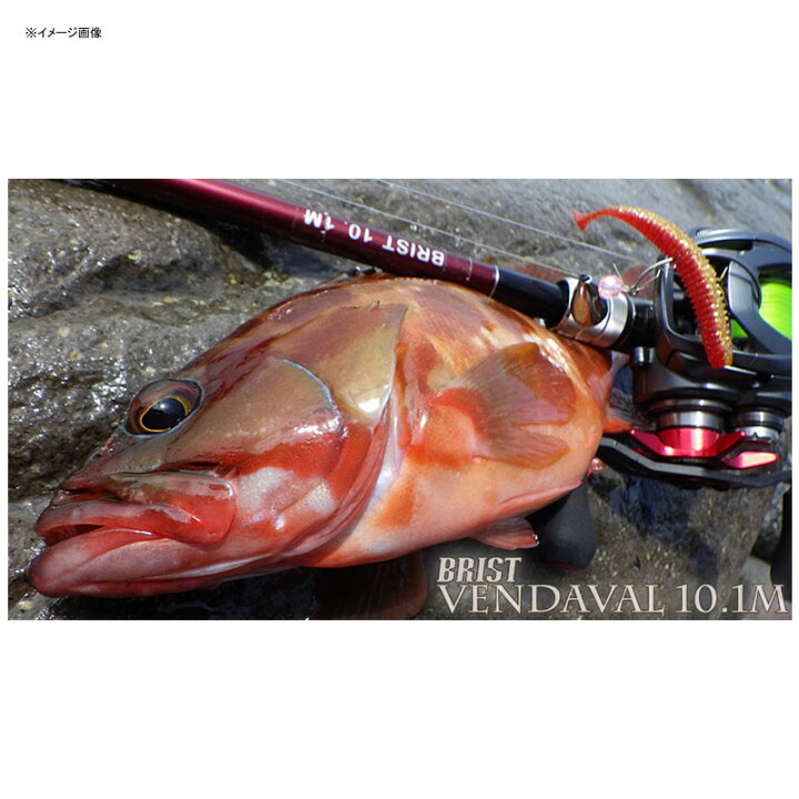 楽天市場】 Fishman(フィッシュマン) BRIST VENDAVAL(ブリスト 
