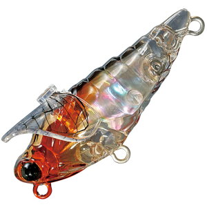 X~X(SMITH LTD) (_CrZ) VF 43mm 31 n[~V[g