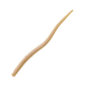 o[NC Kv!\gEH[^[ C\g 4C` W(Natural) 1522988