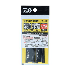 _C(Daiwa) KJTMd[_[PE SSXCx 50cm-0.5 07348363