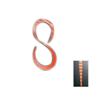 LEVEL6(xN) c[glN^C SJ[[ Cwr 526