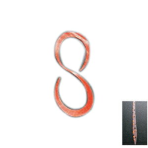 LEVEL6(xN) c[glN^C SJ[[ A~Gr 546