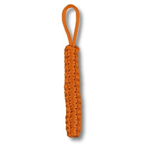 VICTORINOX(rNgmbNX) yKizpR[hy_g [h IW 4.1875.9