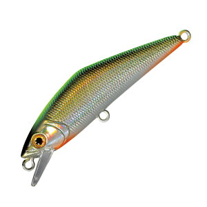 X~X(SMITH LTD) D-R^Ng 50mm #46 CHobNTS[U[ 07046300