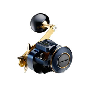 _C(Daiwa) 21SALTIGA(\eBK) IC 300 E 00631504