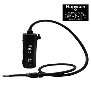�n�s�\��(Hapyson) (�Ö{��)�������|���v YH-350