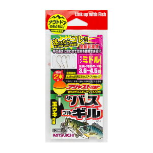 JcC`(KATSUICHI) AD-1 AWXgd| oXEM V[g 290255