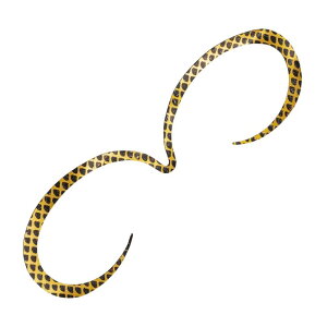 �V�}�m(SHIMANO) ���� �X�g�����O�J�[���[ 135mm 005(�u���b�N�S�[���h) ED-X01U