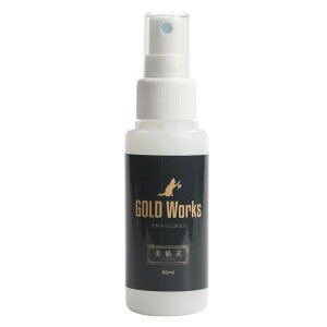 GOLDWorks(S[h[NX) GlassCoatingKXR[g(L) 80ml