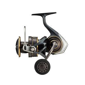 _C(Daiwa) 22 CALDIA(JfBA) SW 6000D-H 00065052