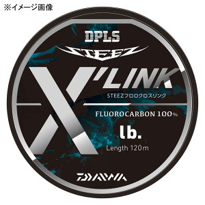 _C(Daiwa) XeB[Y t X'LINK(NXN) 120m 4/16lb i` 07303813