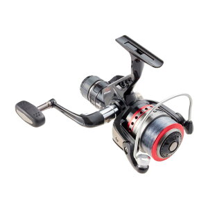 �v���}����(PRO MARINE) �A�I�����G��RD AD3000