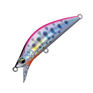 W[Ntg t@Ce[ Gf H 60mm #005 [U[sN} EDN-60H