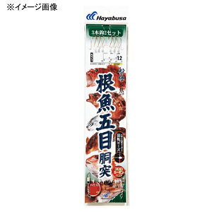 nuT(Hayabusa) D ܖړ 3{b2Zbg b12/nX3  SD767