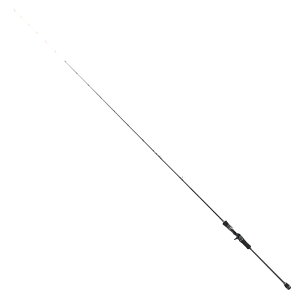 eCEH[N(tail walk) ^] (METALZON) SSD CJ^bh C66M/SL
