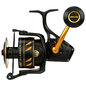 PENN(�y��) �X���}�[ IV 8500 1545769