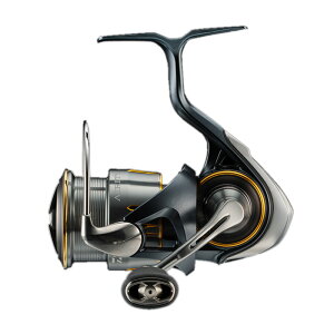 _C(Daiwa) 23GAeB LT2000S-P 00061126