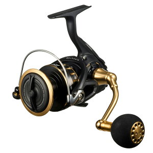 �_�C��(Daiwa) 23BG SW 6000D-H 00065063