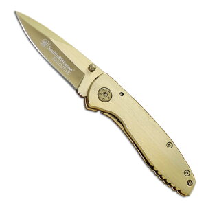 Smith&Wesson(X~X&EFb\) GO[NeBu S[h n CK110GL