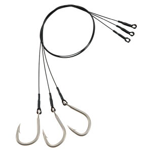 ޕ ؑ vd| 茤Α 16 K04216