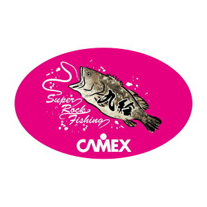 ޕ CAMEXNGXebJ[ L sN X07307
